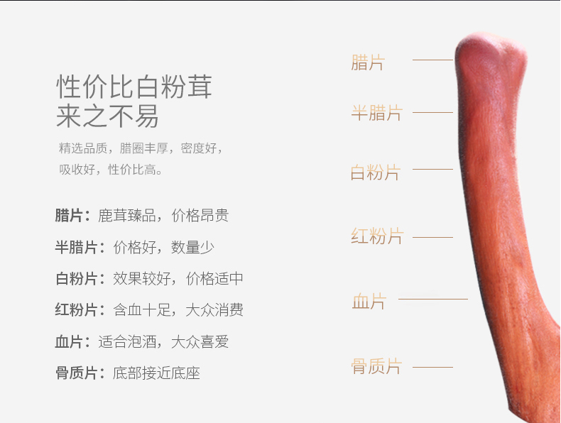 1567750141675267.jpg 鹿茸2.jpg