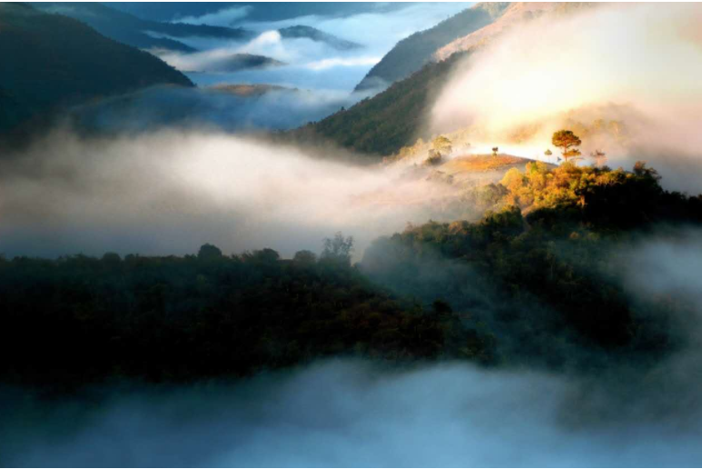 普洱品牌 天下共享2.png