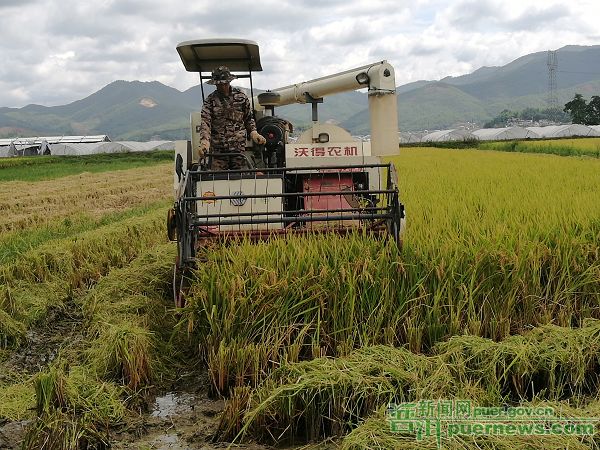 1566377738635721.jpg 產(chǎn)業(yè)興旺鄉(xiāng)村振興.jpg