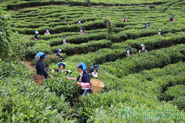 1566378178485308.jpg “老少邊窮”到“邊興民富”1.jpg