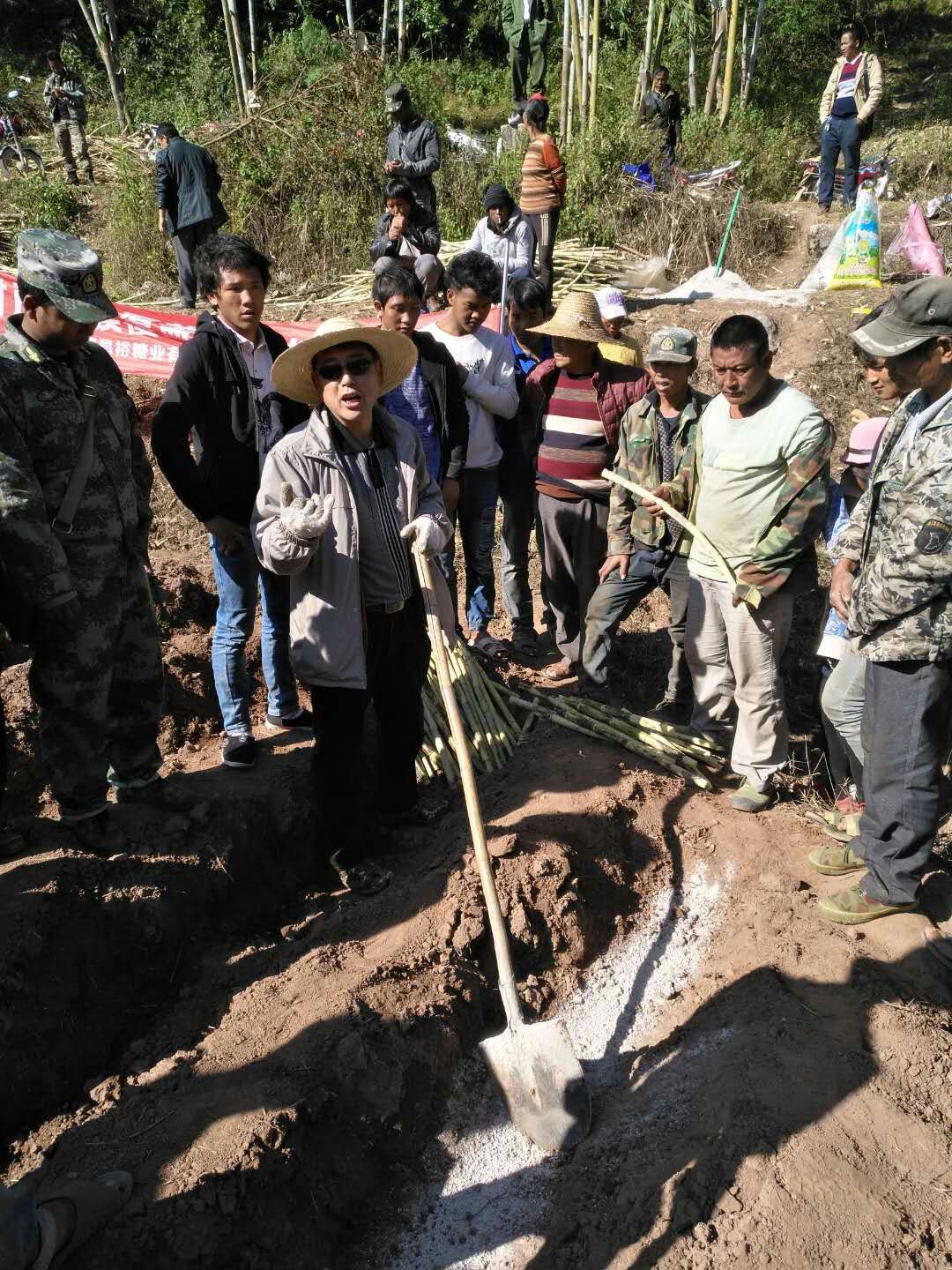 西盟縣開展甘蔗全膜覆蓋技術(shù)培訓(xùn).jpg