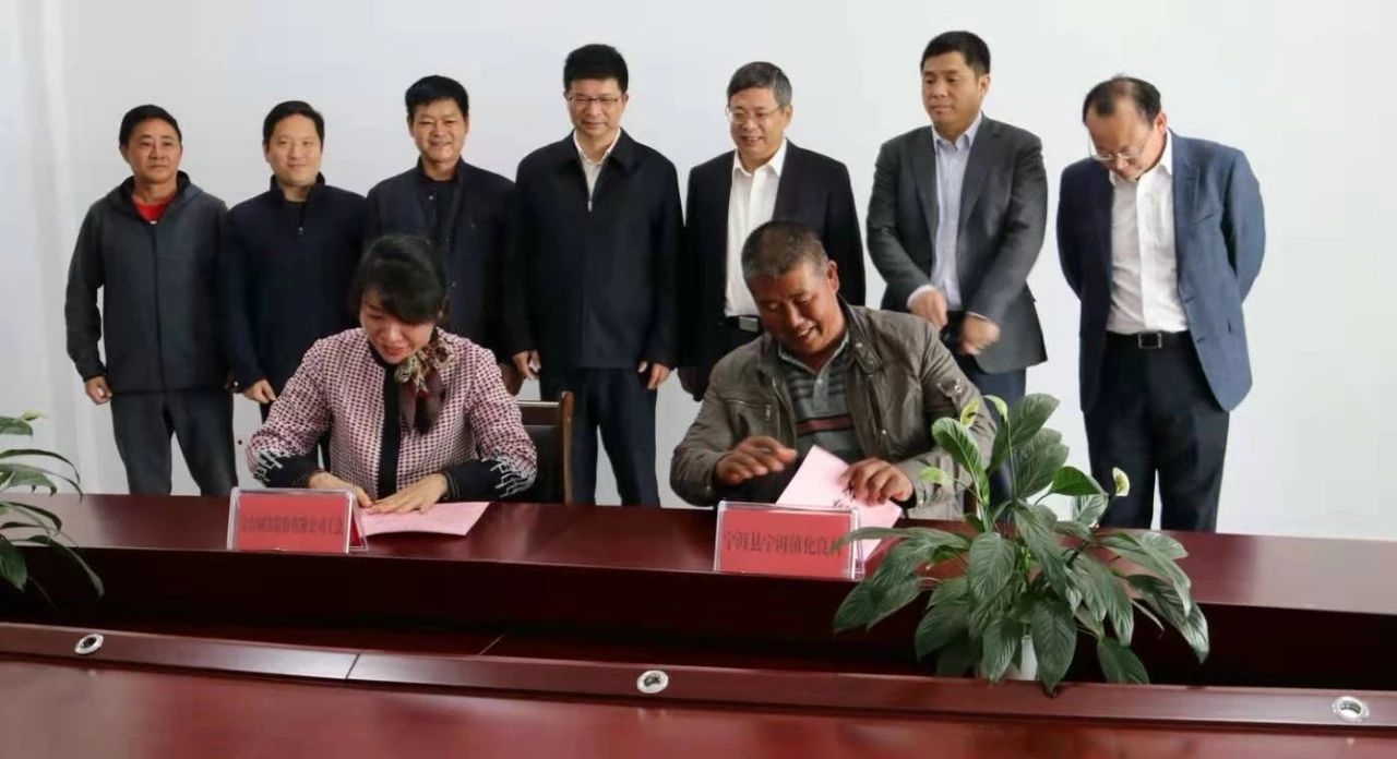 1578553384316320.jpg 1578553384316320.jpg