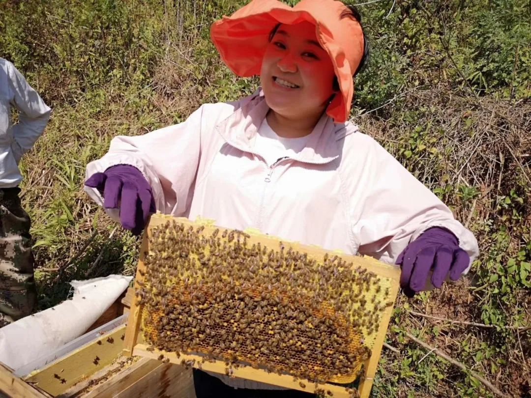 1583126684977422.png image.png