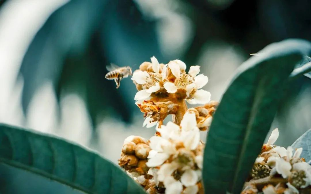 1583127816151055.png image.png