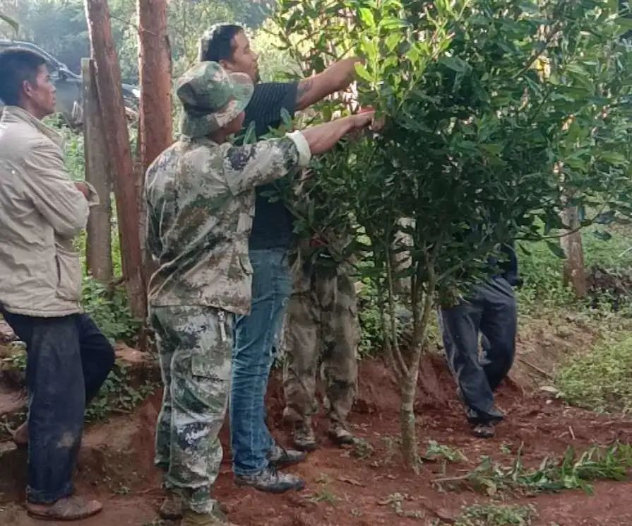 1584417165107132.png image.png