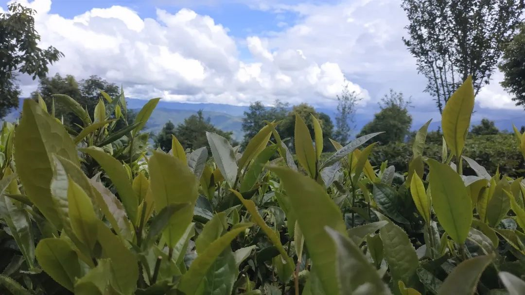 1584437367140849.png image.png