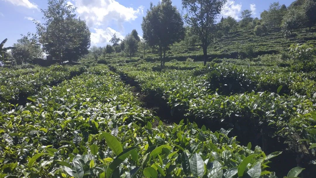 1584437383460399.png image.png