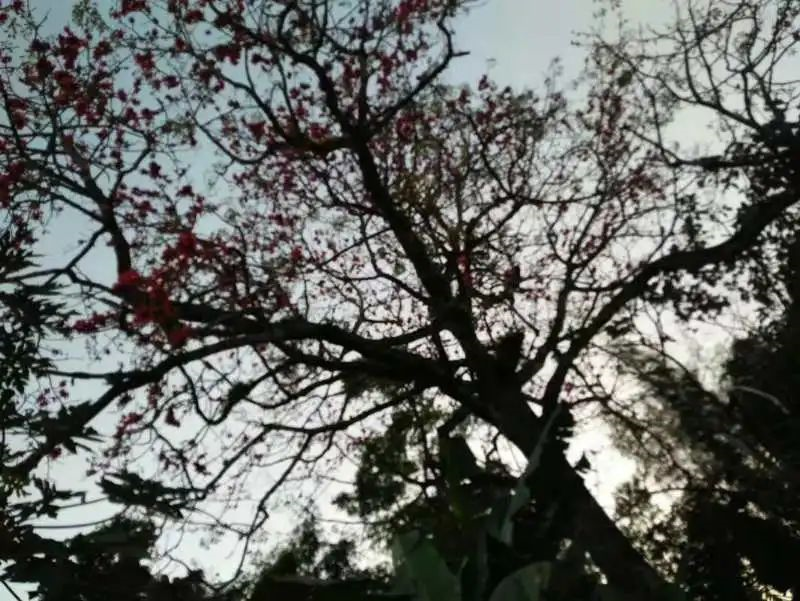 1584437428695308.png image.png