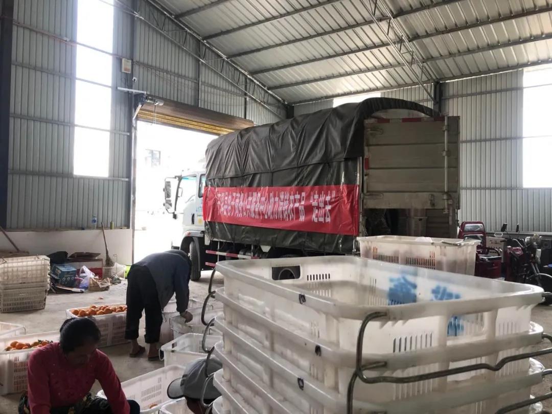 1585644186885744.jpg 微信圖片_20200331163750.jpg