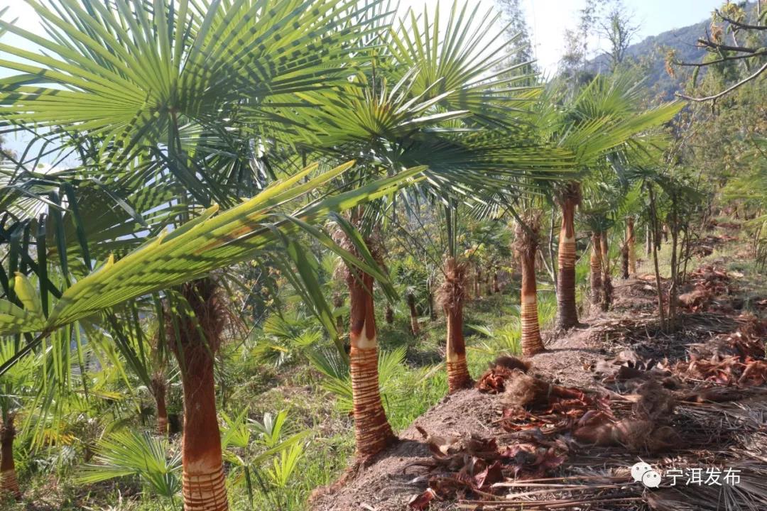 1586230334877716.jpg 微信圖片_20200407113139.jpg