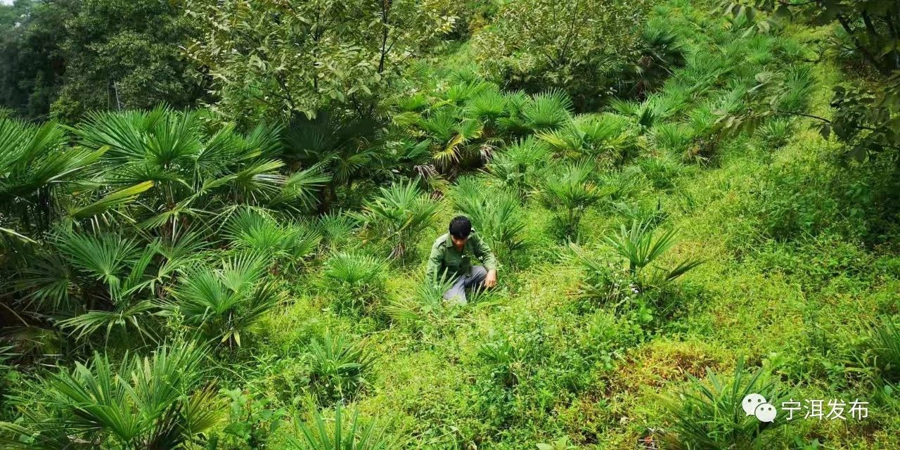 1586230522932516.png image.png