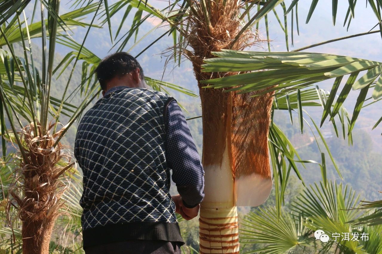 1586230579606014.jpg 微信圖片_20200407113611.jpg