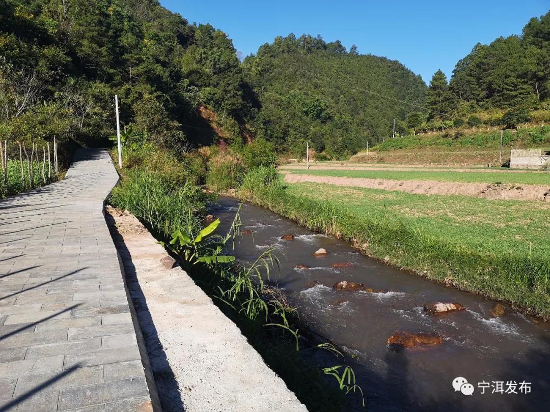 1617260101533921.jpg ddd.jpg