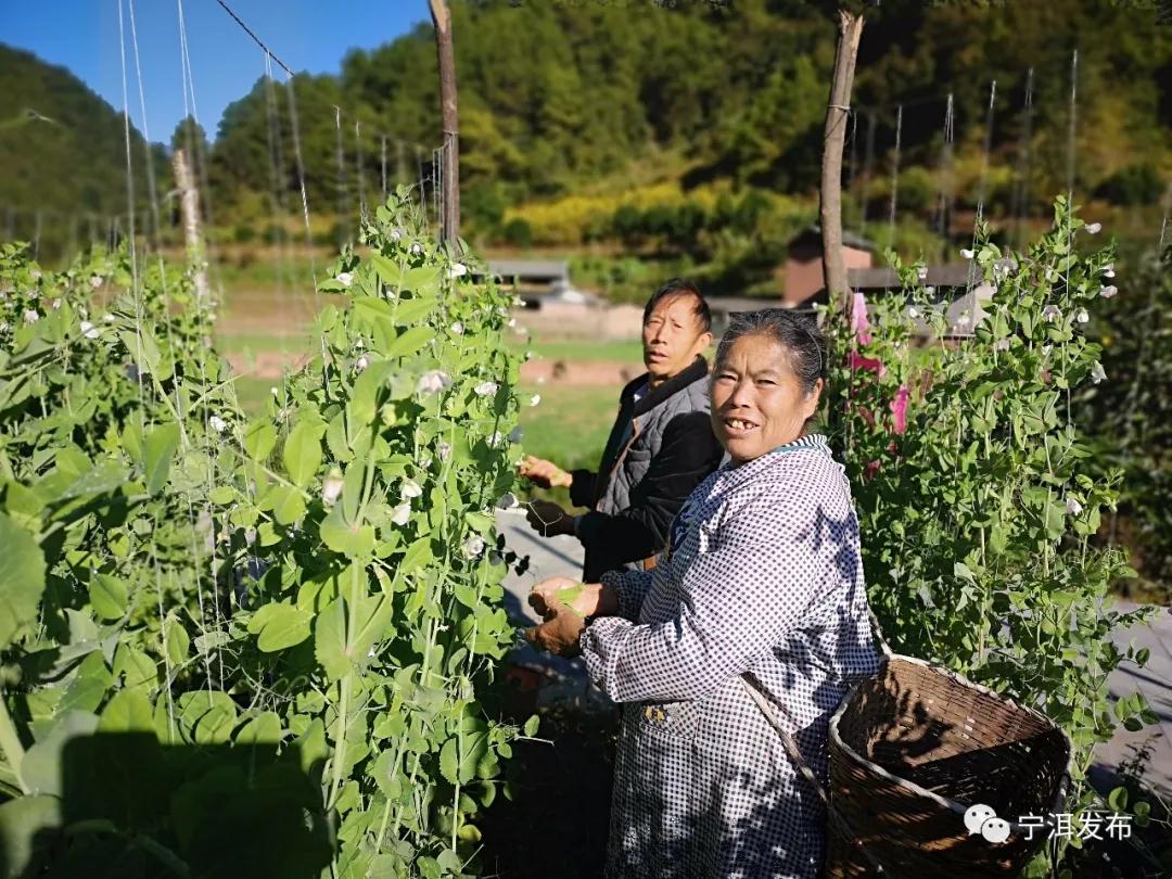 1617260114199929.jpg dddd.jpg