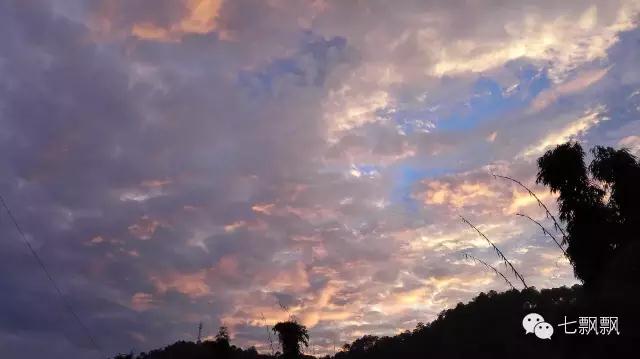 1617260733766410.jpg z1.jpg