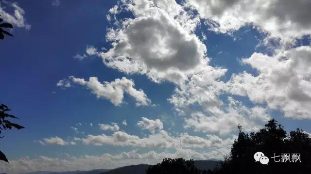 1617260744539244.jpg z2.jpg