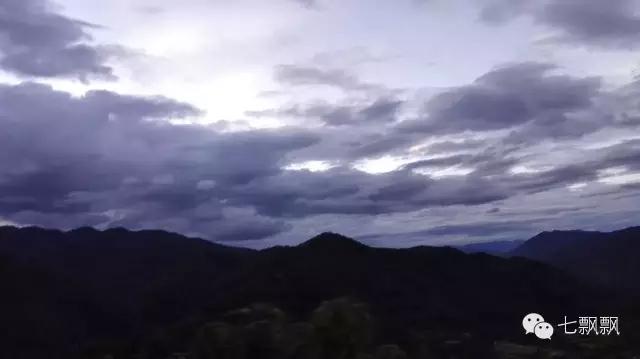 1617260823844614.jpg z6.jpg