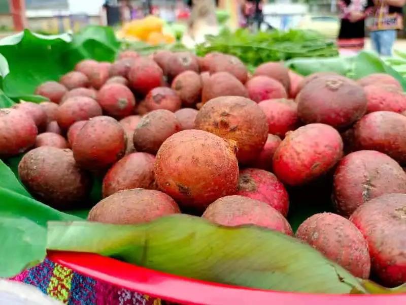 1626835447340291.jpg 微信圖片_20210721104314.jpg