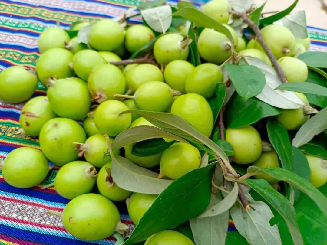 1626835556481032.jpg 微信圖片_20210721104534.jpg