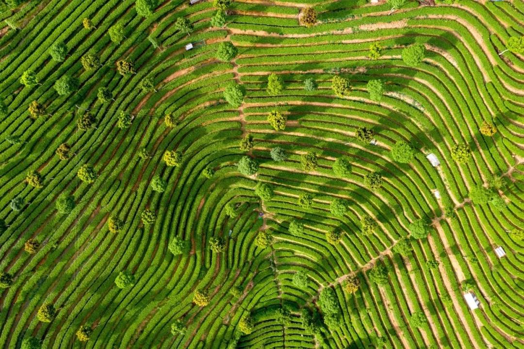 1637650496362803.jpg 03.jpg