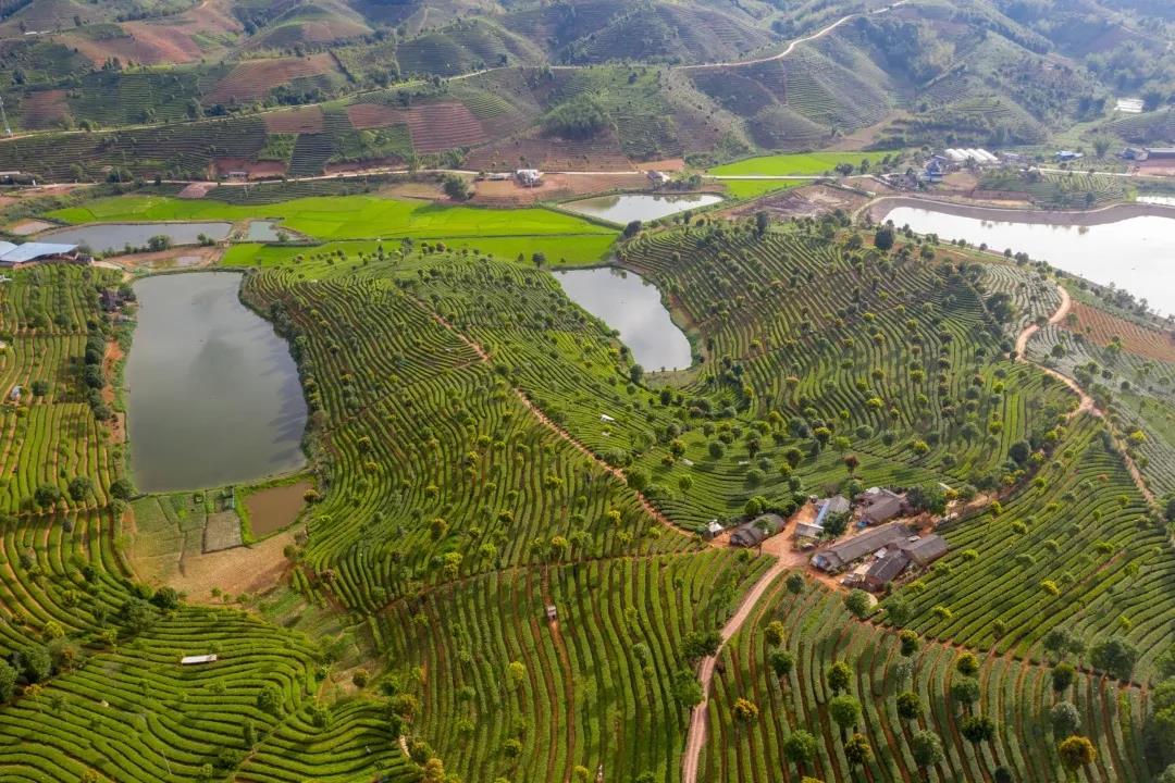 1637650509569256.jpg 04.jpg