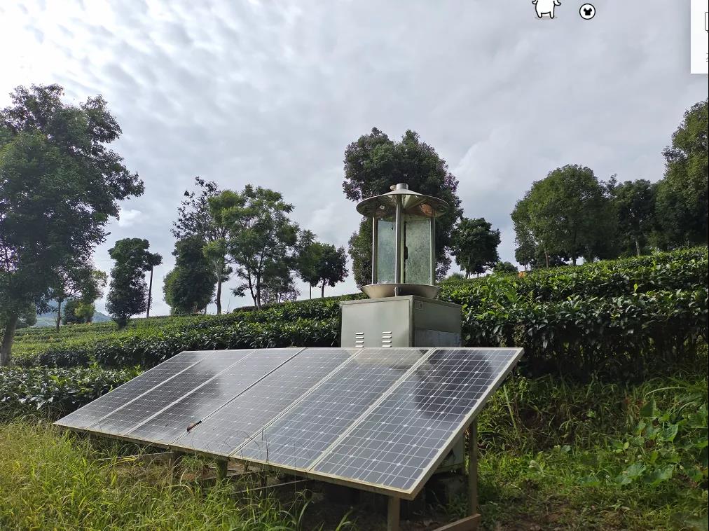 1637650633143033.jpg 13.jpg