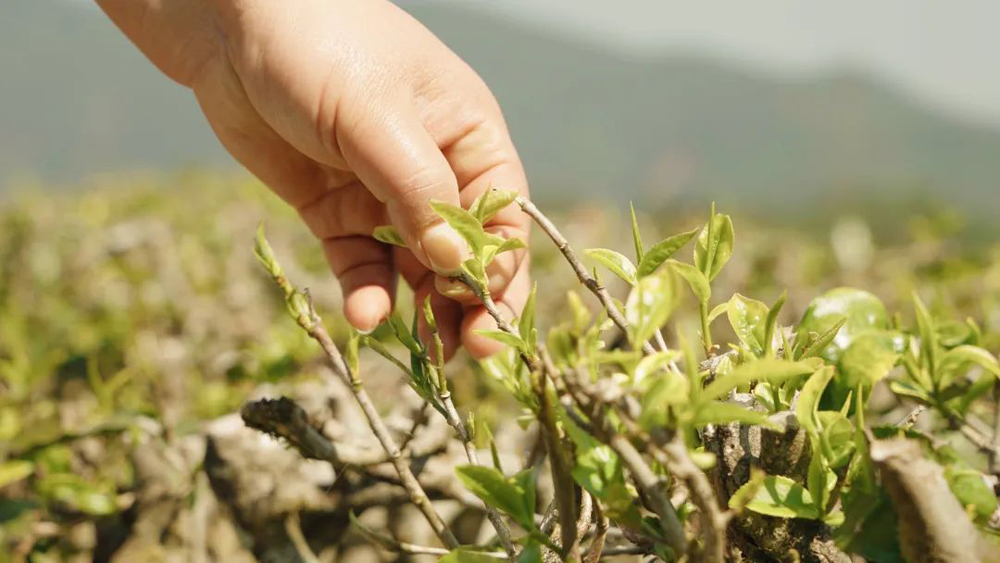 1650013067647192.png 05.png